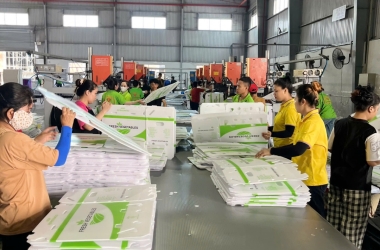 Quy trình sản xuất